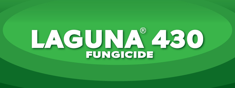 Do you have any questions? Do you want to know where to buy it?